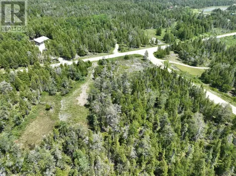 1226 Dorcas Bay Road Northern Bruce Peninsula ON N0H 2R0