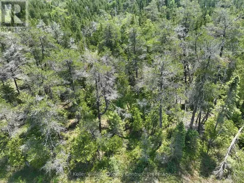 1226 Dorcas Bay Road Northern Bruce Peninsula ON N0H 2R0