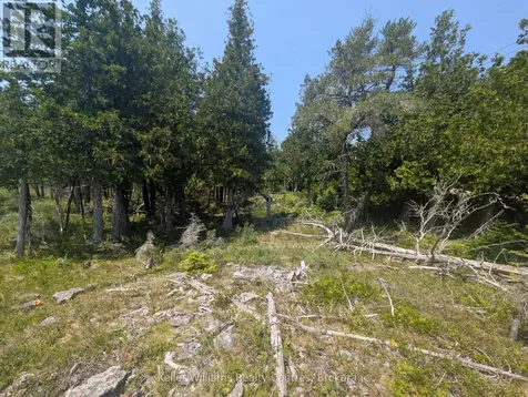 1226 Dorcas Bay Road Northern Bruce Peninsula ON N0H 2R0
