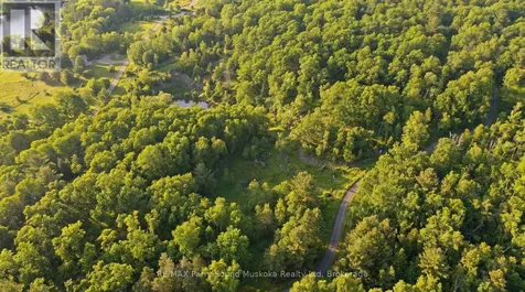 Lot 1 Burnside Bridge Road Mcdougall ON P2A 2W9