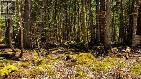 Lot 5 Trillium Crossing Northern Bruce Peninsula ON N0H 1W0