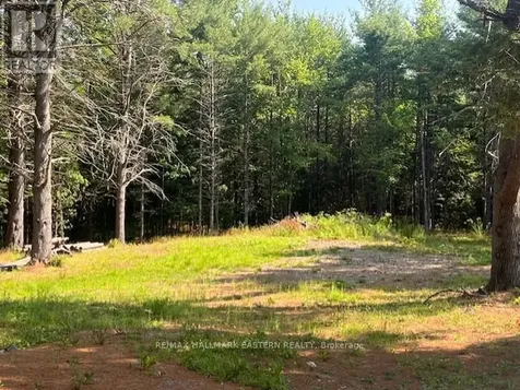 942 Balmer Road North Kawartha ON K0L 1A0