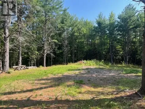 942 Balmer Road North Kawartha ON K0L 1A0