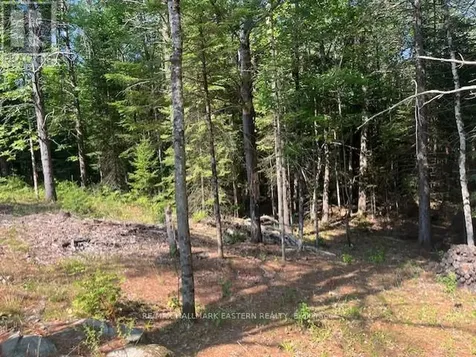 942 Balmer Road North Kawartha ON K0L 1A0