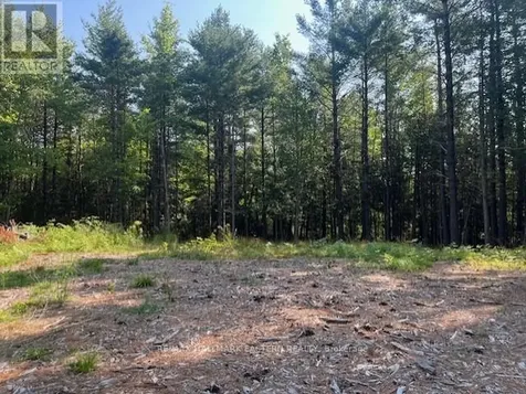 942 Balmer Road North Kawartha ON K0L 1A0