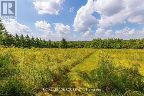 282398 County Rd 10 Road East Luther Grand Valley ON L9W 0W6
