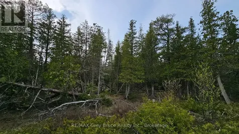 Lt 255 Pedwell Point Drive Northern Bruce Peninsula ON N0H 2R0