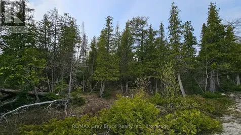 Lt 255 Pedwell Point Drive Northern Bruce Peninsula ON N0H 2R0
