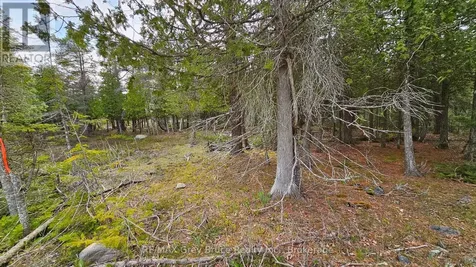 Lt 255 Pedwell Point Drive Northern Bruce Peninsula ON N0H 2R0