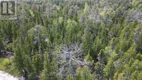 Lt 255 Pedwell Point Drive Northern Bruce Peninsula ON N0H 2R0