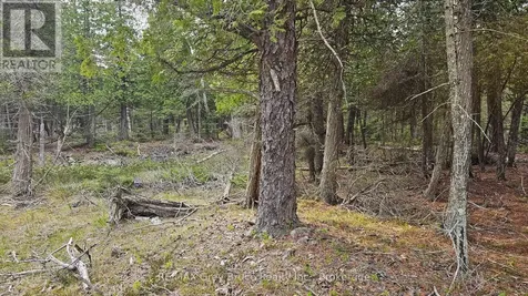 Lt 255 Pedwell Point Drive Northern Bruce Peninsula ON N0H 2R0