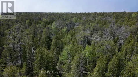 Lt 255 Pedwell Point Drive Northern Bruce Peninsula ON N0H 2R0