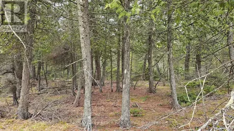 Lt 255 Pedwell Point Drive Northern Bruce Peninsula ON N0H 2R0