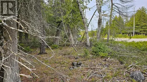 Lt 255 Pedwell Point Drive Northern Bruce Peninsula ON N0H 2R0