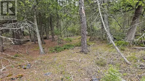 Lt 255 Pedwell Point Drive Northern Bruce Peninsula ON N0H 2R0