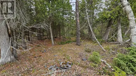 Lt 255 Pedwell Point Drive Northern Bruce Peninsula ON N0H 2R0