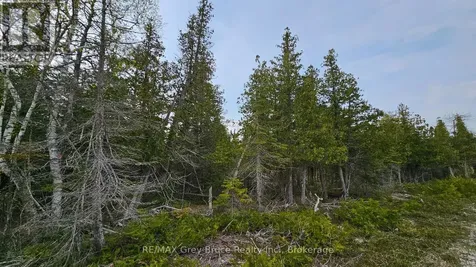 Lt 255 Pedwell Point Drive Northern Bruce Peninsula ON N0H 2R0