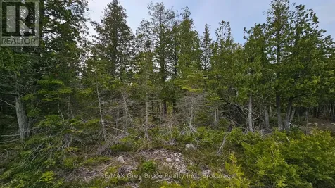 Lt 255 Pedwell Point Drive Northern Bruce Peninsula ON N0H 2R0
