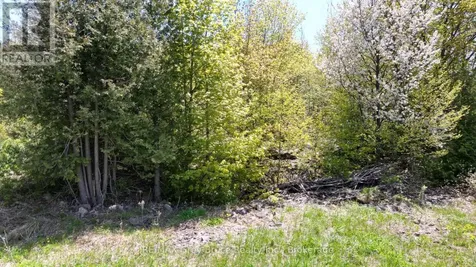 Isthmus Bay Road Northern Bruce Peninsula ON N0H 1W0