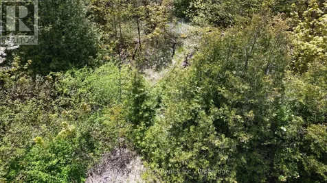Isthmus Bay Road Northern Bruce Peninsula ON N0H 1W0