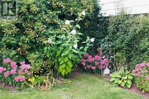 273 Thaler Avenue Kitchener ON N2A 1R7