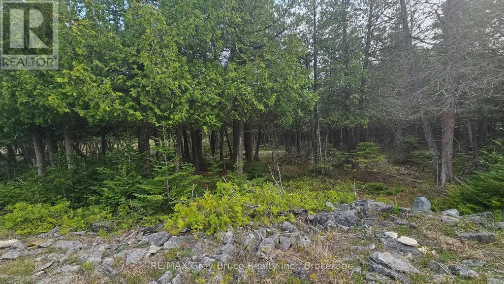Lt 254 Dorcas Bay Road Northern Bruce Peninsula ON N0H 2R0