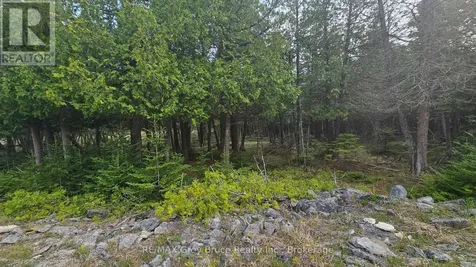 Lt 254 Dorcas Bay Road Northern Bruce Peninsula ON N0H 2R0