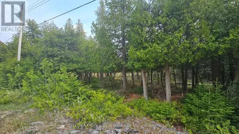 Lt 254 Dorcas Bay Road Northern Bruce Peninsula ON N0H 2R0