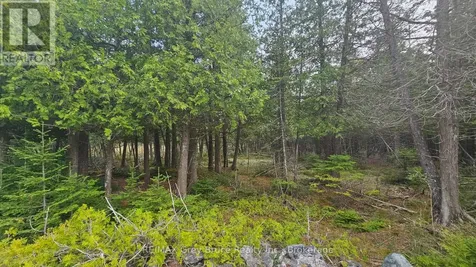 Lt 254 Dorcas Bay Road Northern Bruce Peninsula ON N0H 2R0