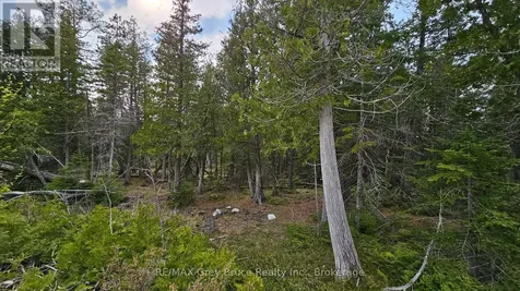 Lt 254 Dorcas Bay Road Northern Bruce Peninsula ON N0H 2R0