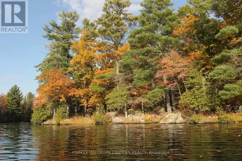 C280 Lower Buckhorn Lake Trent Lakes ON K0L 1J0