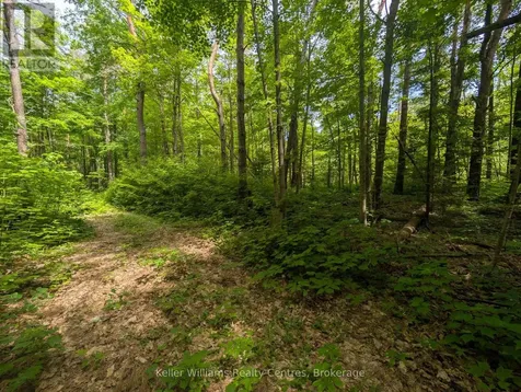 590-608 Huron Road South Bruce Peninsula ON N0H 2T0