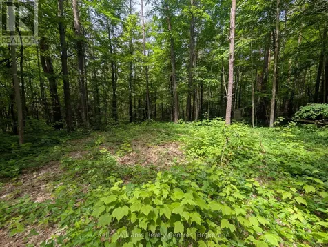 590-608 Huron Road South Bruce Peninsula ON N0H 2T0