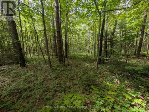 590-608 Huron Road South Bruce Peninsula ON N0H 2T0