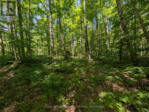 590-608 Huron Road South Bruce Peninsula ON N0H 2T0