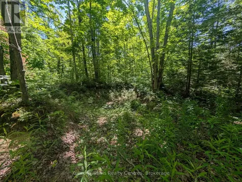 590-608 Huron Road South Bruce Peninsula ON N0H 2T0
