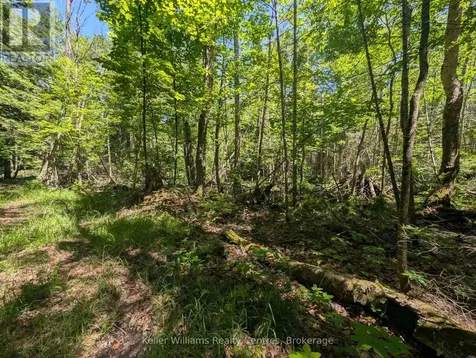 590-608 Huron Road South Bruce Peninsula ON N0H 2T0