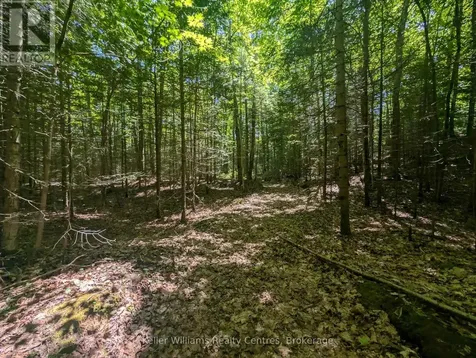 590-608 Huron Road South Bruce Peninsula ON N0H 2T0