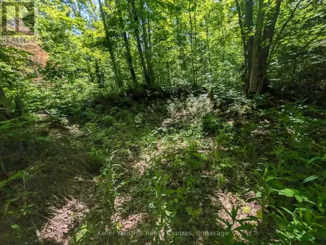 590-608 Huron Road South Bruce Peninsula ON N0H 2T0