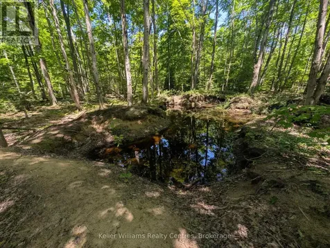 590-608 Huron Road South Bruce Peninsula ON N0H 2T0