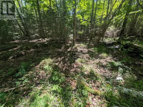 590-608 Huron Road South Bruce Peninsula ON N0H 2T0