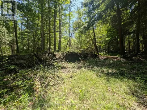 590-608 Huron Road South Bruce Peninsula ON N0H 2T0