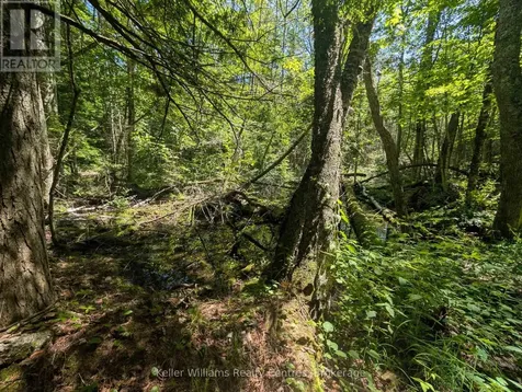 590-608 Huron Road South Bruce Peninsula ON N0H 2T0