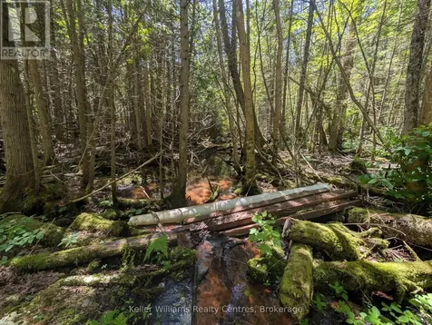 590-608 Huron Road South Bruce Peninsula ON N0H 2T0