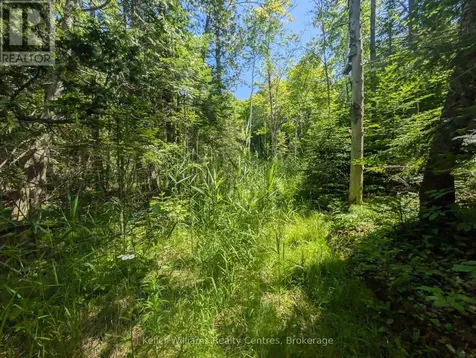 590-608 Huron Road South Bruce Peninsula ON N0H 2T0