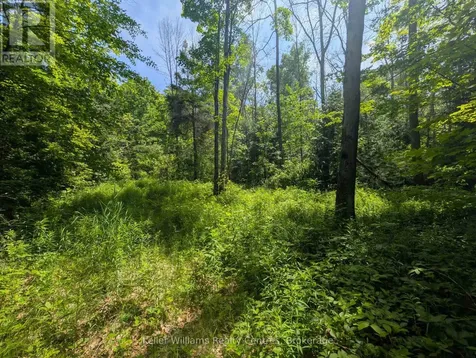 590-608 Huron Road South Bruce Peninsula ON N0H 2T0