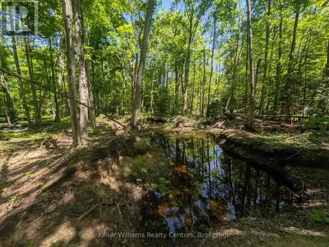 590-608 Huron Road South Bruce Peninsula ON N0H 2T0