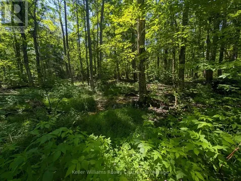 590-608 Huron Road South Bruce Peninsula ON N0H 2T0