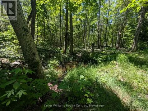 590-608 Huron Road South Bruce Peninsula ON N0H 2T0