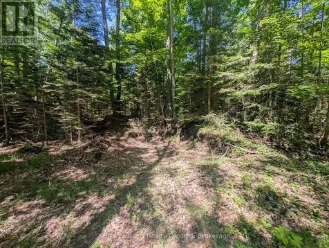 590-608 Huron Road South Bruce Peninsula ON N0H 2T0